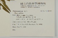 登錄號:S118884藏品圖，第2張