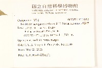 刀傷草藏品圖，第2張