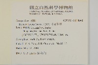 生毛將軍藏品圖，第2張