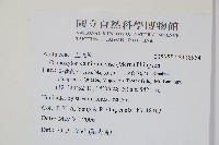 登錄號:S118954藏品圖，第2張