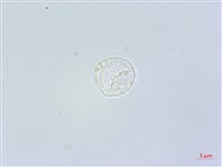 登錄號:S118981藏品圖，第2張