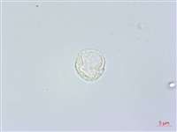 登錄號:S118981藏品圖，第3張