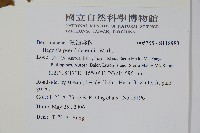 登錄號:S118983藏品圖，第2張