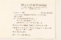 田代氏澤蘭藏品圖，第2張