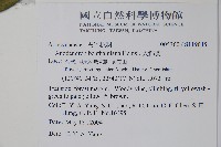 大錦蘭藏品圖，第2張