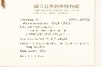 鯽魚膽、闊苞菊藏品圖，第2張