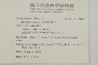 欖李藏品圖，第5張