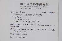 海馬齒藏品圖，第2張