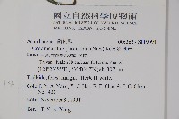 針刺草藏品圖，第2張