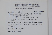 阿里山忍冬、漸尖葉忍冬藏品圖，第2張