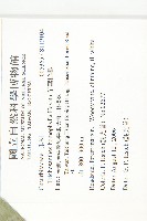 芋葉括樓藏品圖，第2張