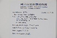 臺灣糊樗藏品圖，第2張