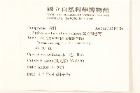 翼莖闊苞菊藏品圖，第2張