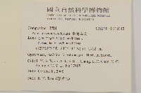 三斗石櫟藏品圖，第2張