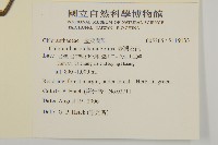 臺灣及己藏品圖，第2張