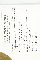 王瓜藏品圖，第2張