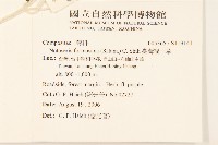 臺灣福王草藏品圖，第2張