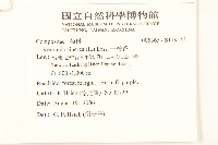 一枝香藏品圖，第2張