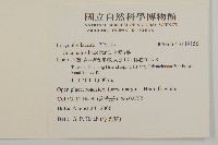 狗筋蔓藏品圖，第2張