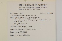 黃金珠藏品圖，第2張