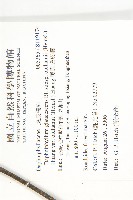 奧氏虎皮楠藏品圖，第2張