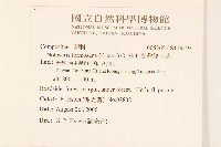 臺灣福王草藏品圖，第2張