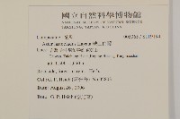 絨山白蘭藏品圖，第2張