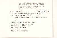 翼莖闊苞菊藏品圖，第2張