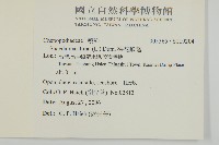 裸花鹼蓬藏品圖，第2張