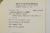 茵蔯蒿藏品圖，第2張