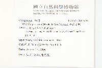 天蓬草舅藏品圖，第2張