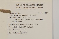 裡白艾納香藏品圖，第2張