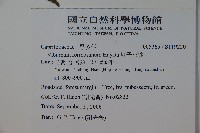 紅子莢迷藏品圖，第2張