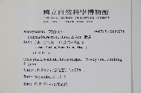 酸藤藏品圖，第2張