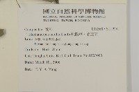 地膽草、毛蓮菜藏品圖，第2張