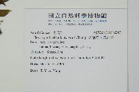 燈稱花、烏雞骨藏品圖，第2張