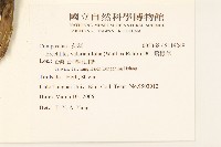 飛機草藏品圖，第2張