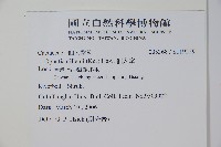 仙人掌藏品圖，第2張