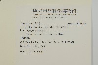 紫花霍香薊藏品圖，第2張