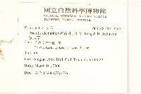 貓腥草藏品圖，第2張