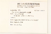 鼠麴舅藏品圖，第2張