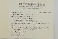 山白蘭藏品圖，第2張