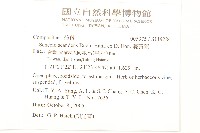 蔓黃菀藏品圖，第2張