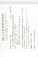 槭葉括摟藏品圖，第2張