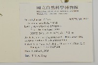 狗筋蔓藏品圖，第2張