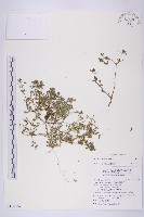 登錄號:S119304藏品圖，第1張