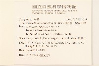 山苦藚、假福王草藏品圖，第2張