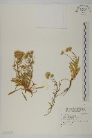 登錄號:S119357藏品圖，第1張