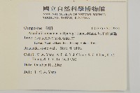 尼泊爾籟簫藏品圖，第2張