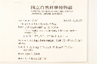 絲綿草藏品圖，第2張